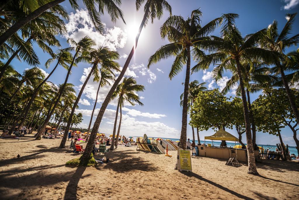 Mountain Views & Steps To Beach - Free Parking! Honolulu Ngoại thất bức ảnh